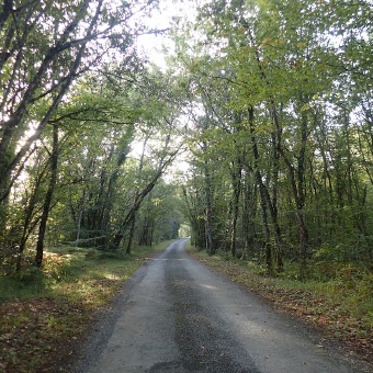 Bike Tour in Dordogne France -  Road quiet and shady perfect for biking