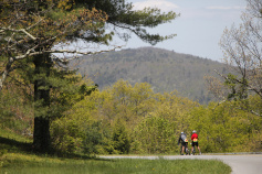 Forest Blue Ridge Bike Tour