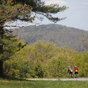 Forest Blue Ridge Bike Tour