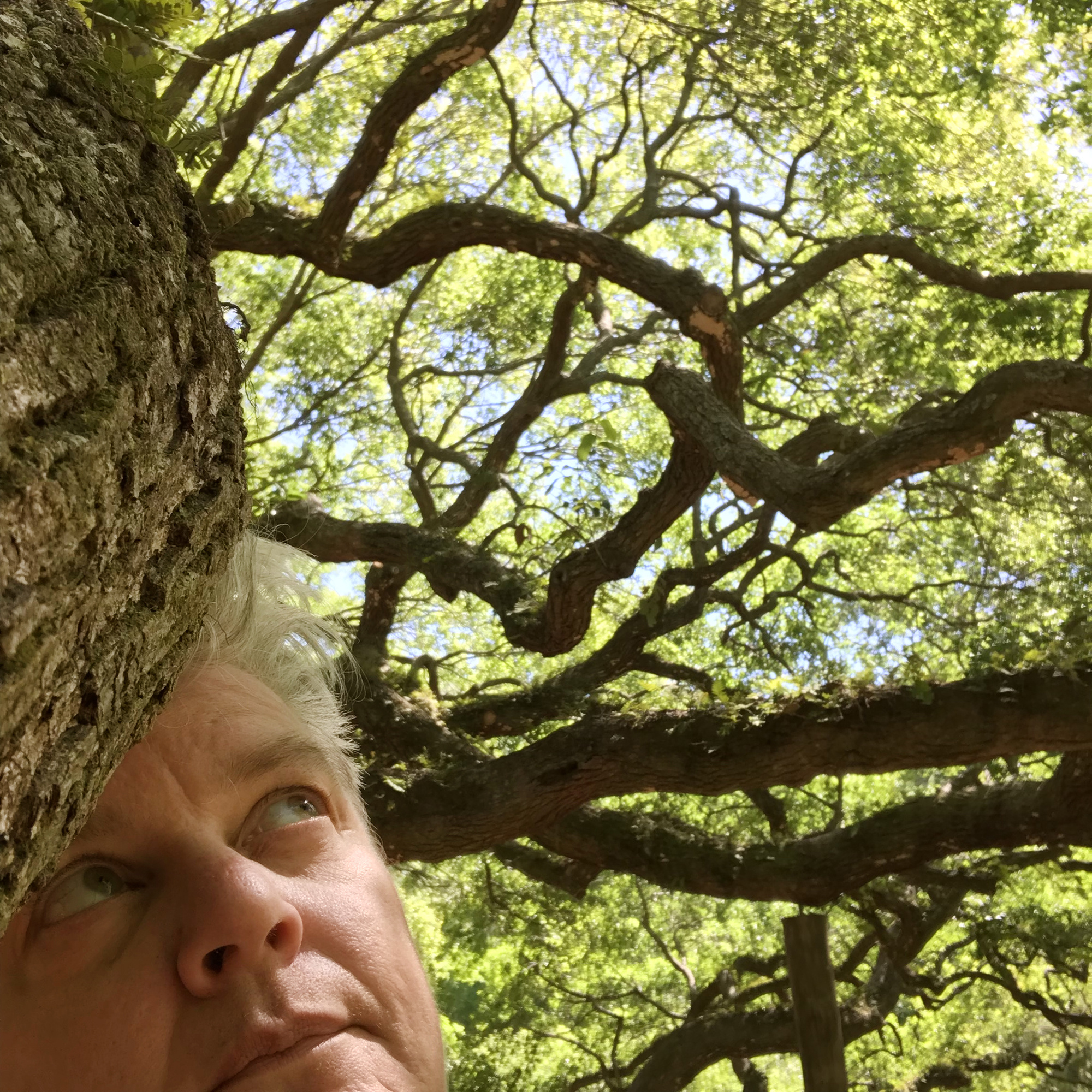 Selfie of Annette in a tree.