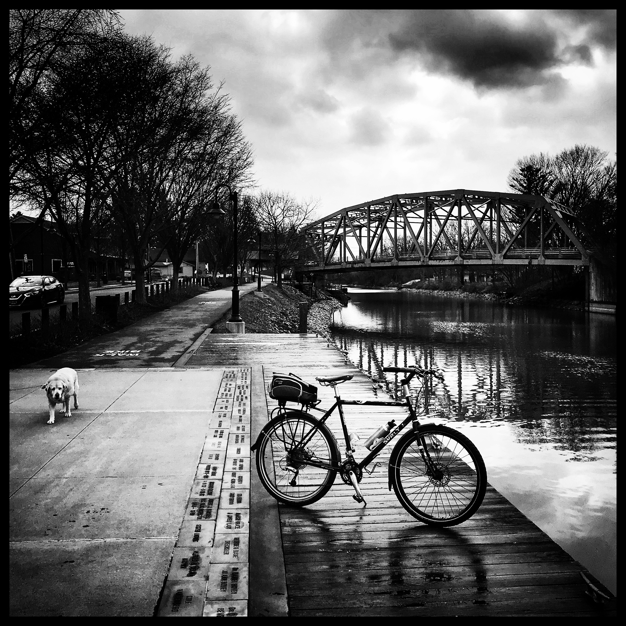 Dog and Bike along the canal bike path.
