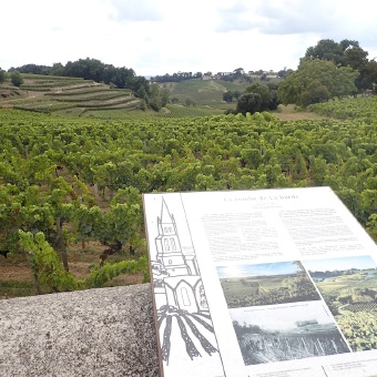 Bike Tour in Dordogne France -  Vineyards