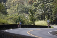 Cyclist on the road Hawaii Bike Tour