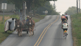 Horse and buggy on bike path Pennsylvania Dutch Country Bike Tour