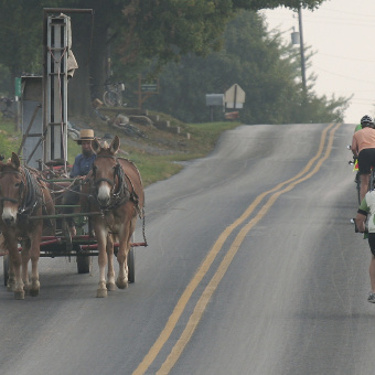 Horse and buggy on bike path Pennsylvania Dutch Country Bike Tour