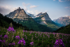 Glacier National Park view