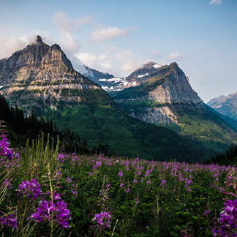 Glacier National Park view