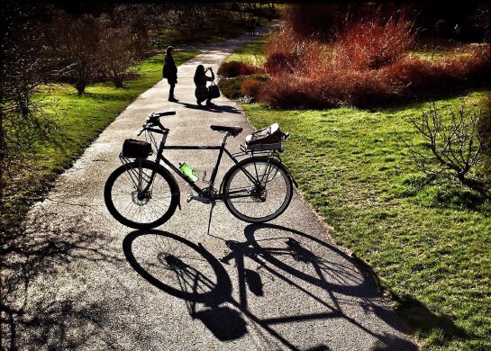 bicycle on a path