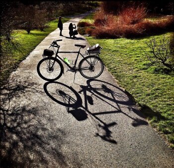 bicycle on a path