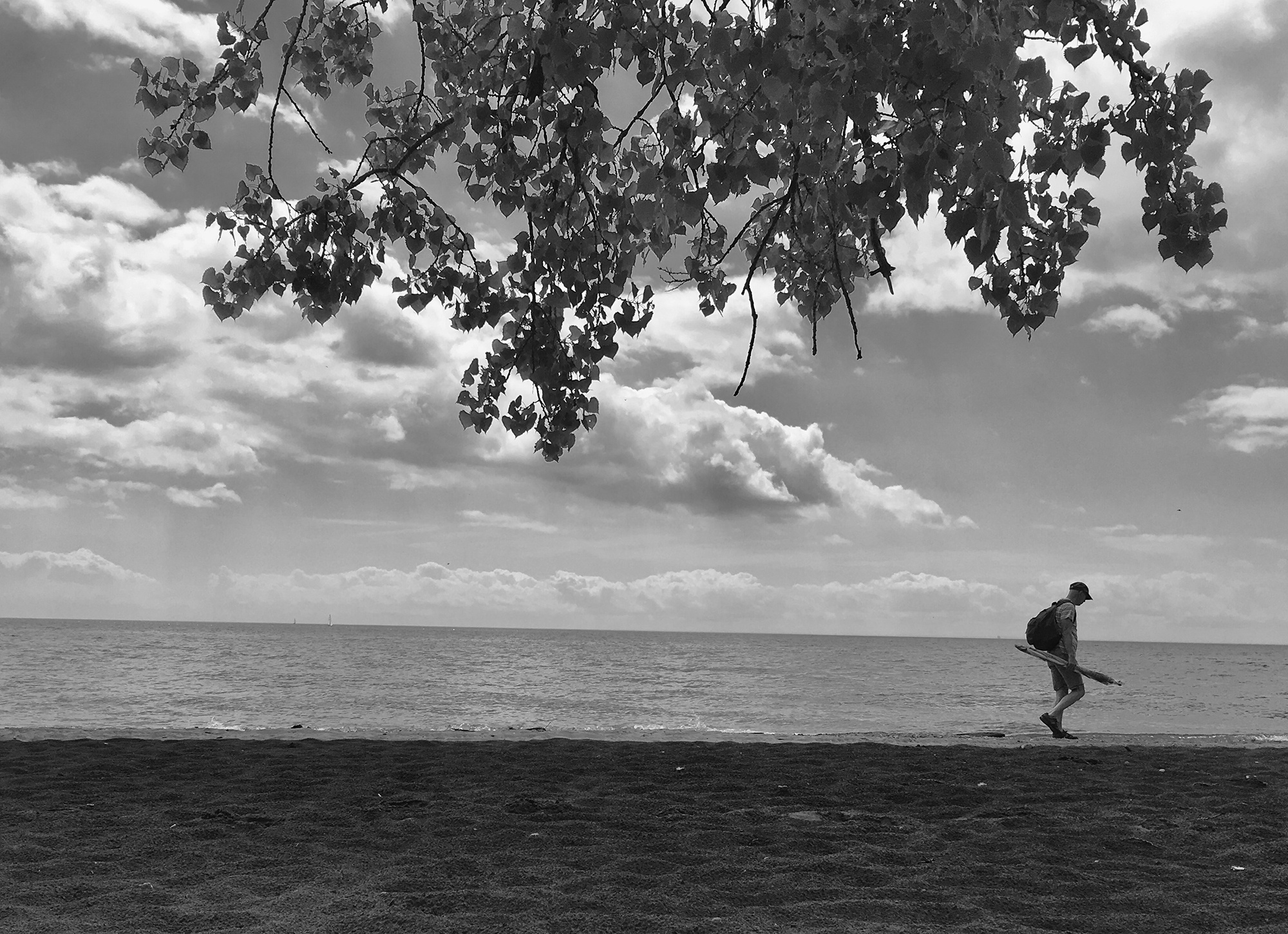 Beachcomber on Lake Ontario in black and white.