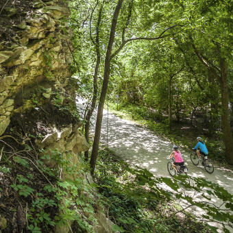 Forest Path view Katy Trail Bike Tour