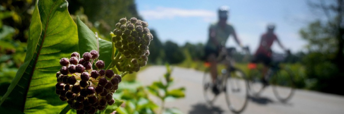 Wisconsin Door County - Bike Tour