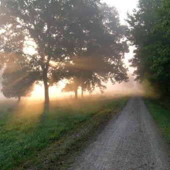 Trail view during sunrise Katy Trail Bike Tour