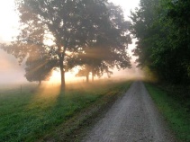 Trail view during sunrise Katy Trail Bike Tour