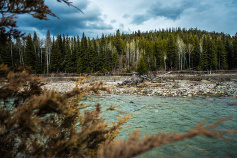 Glacier National Park view