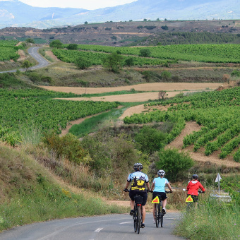 Cyclist on bike path Spain Camino de Santiago bike tour