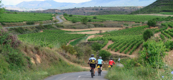 Cyclist on bike path Spain Camino de Santiago bike tour