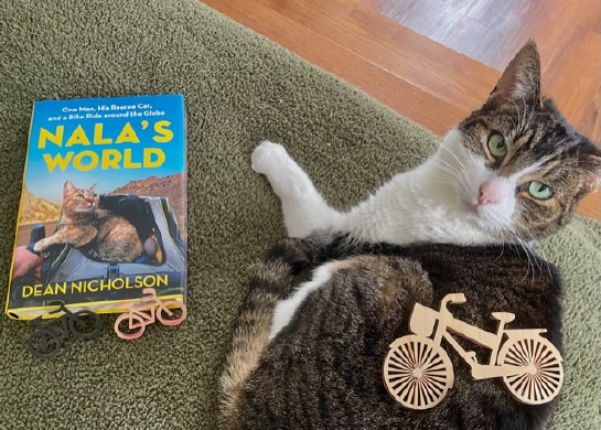 cat laying near a book