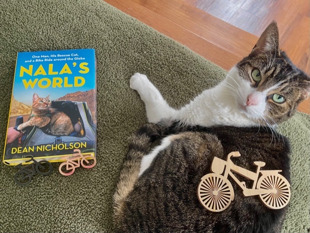 cat laying near a book