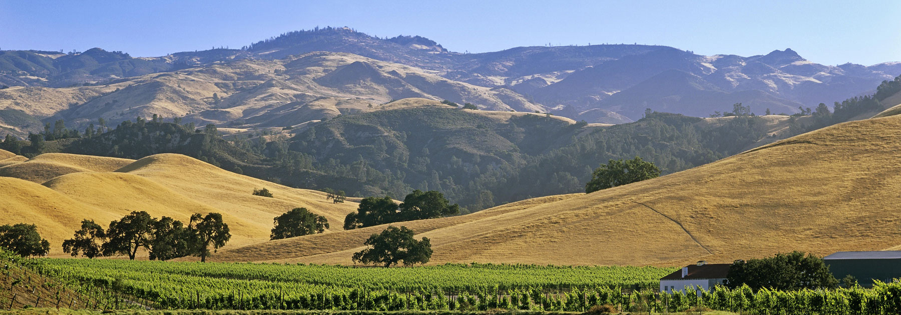 California: Santa Barbara Wine Country Bike Tour