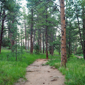 bike path in the woods from the Boulder Bike Tour in CO