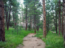 bike path in the woods from the Boulder Bike Tour in CO