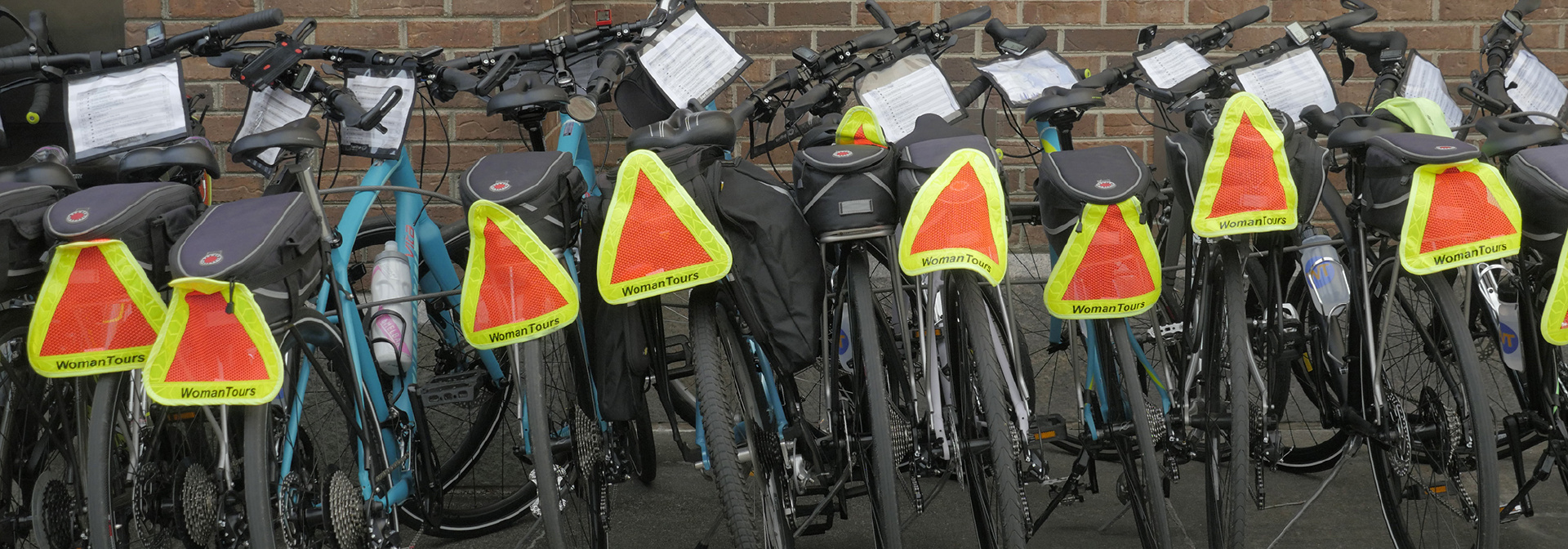 Bike Rentals