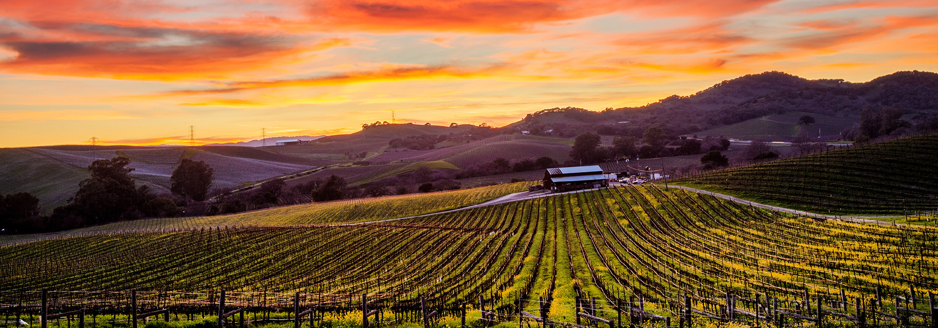 California: Napa & Sonoma Valleys