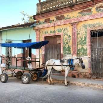 horse and buggy in Havana on Cuba bike tour