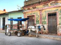 horse and buggy in Havana on Cuba bike tour